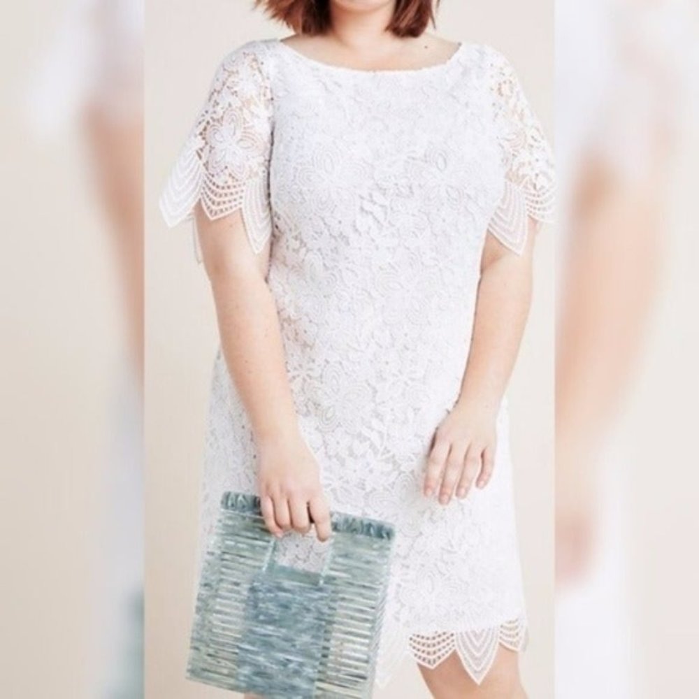 Anthropologie Charleston Scalloped Lace Dress